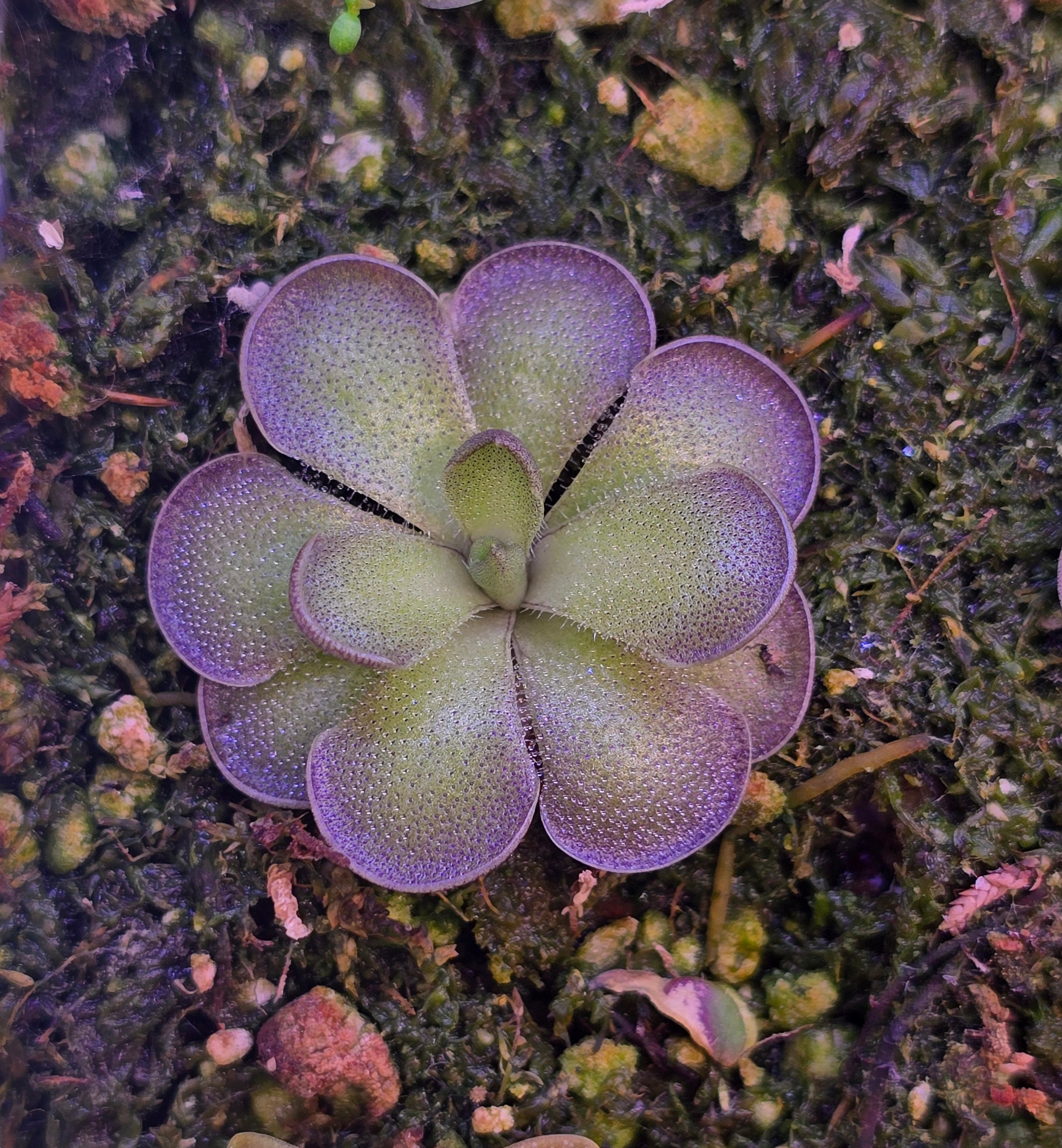 20250612-160853.jpg